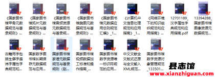 国家数字图书馆工程标准规范成果 16册 PDF电子版